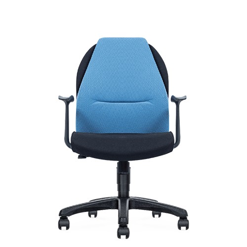 ACHELOUS SERIES LOW BACK CHAIR (EXE 22)