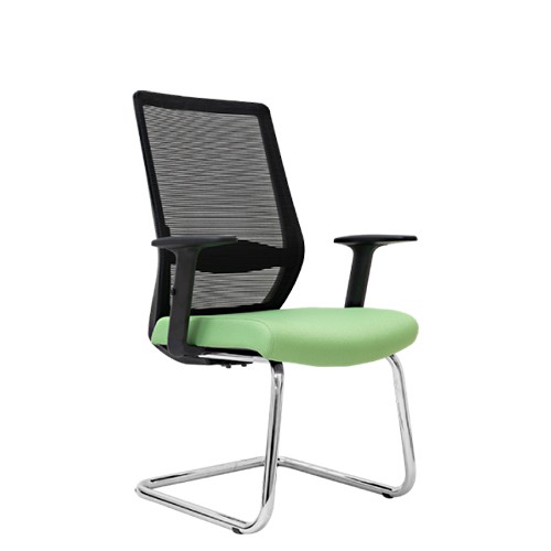 ANI SERIES VISITOR CHAIR (E 3023S)