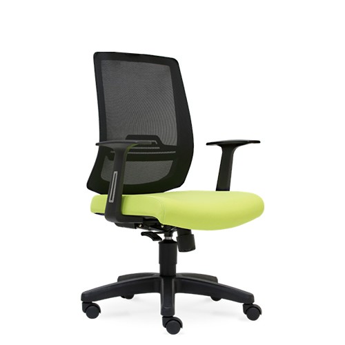 MECH LOW BACK CHAIR (E 2756H)