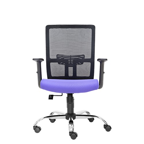 SPEC SERIES LOW BACK CHAIR (E2952H)