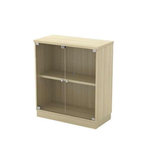 FX SWINGING GLASS DOOR CABINET