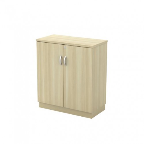 FX SWINGING DOOR CABINET