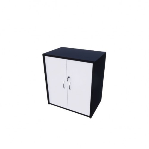 FLEXX II SWINGING DOOR CABINET