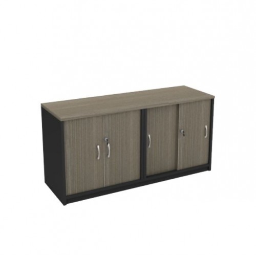 FS THUJA LIGHT SWING DOOR + SLIDING DOOR CABINET