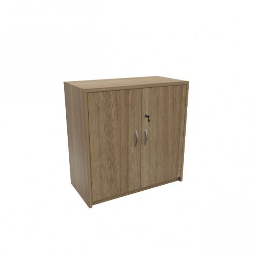PREMIER SWING DOOR CABINET (2 DOORS)