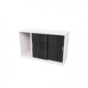 MILA SLIDING DOOR + CPU STORAGE CABINET