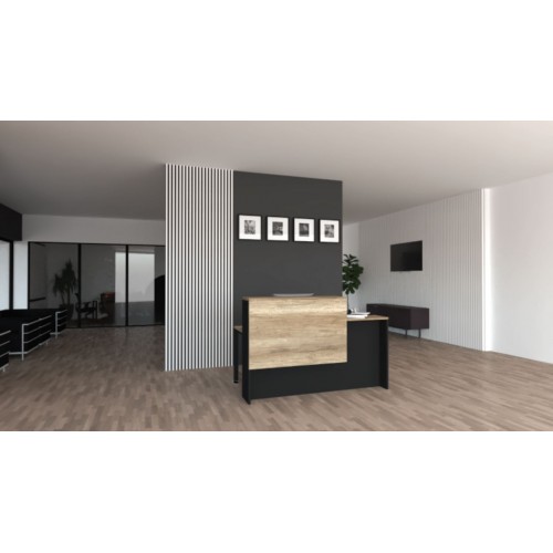 LESLEY SERIES RECEPTION COUNTER (LESLEY-RECEPTION)