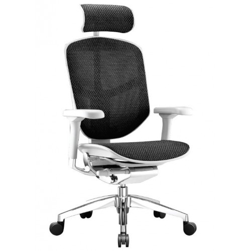 ENJOY ELITE 2.0 MESH SERIES HIGH BACK CHAIR (ENJOY ELITE 2.0)