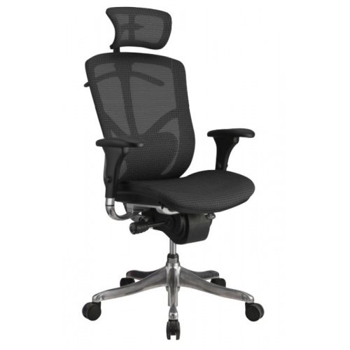 POSH MESH SERIES HIGH BACK CHAIR (POSH)
