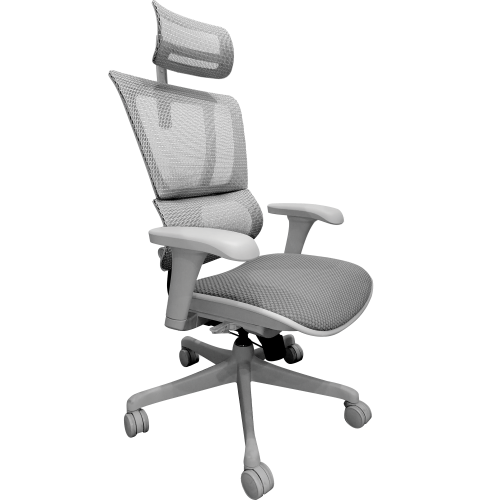 IOO BUDGET MESH SERIES HIGH BACK CHAIR (IOO BUDGET)