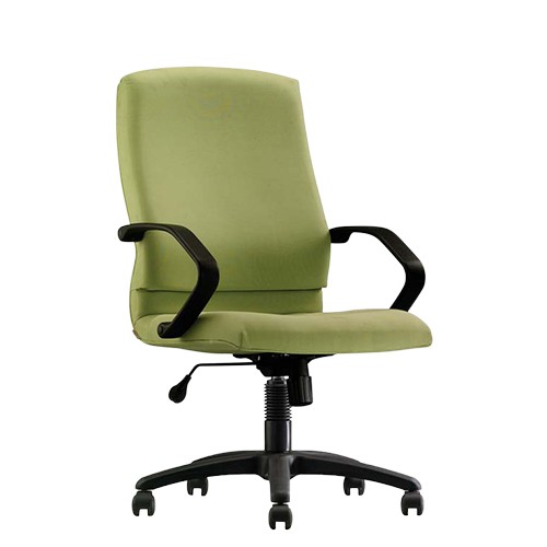 EXECUTIVE LOW BACK CHAIR (CH-242LB) 