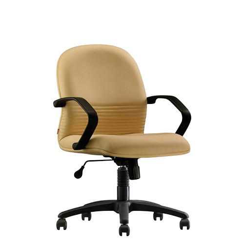 EXECUTIVE LOW BACK CHAIR (CH-262LB) 