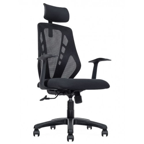 ASTERIA SERIES MESH HIGH BACK CHAIR (NTT77-HB)