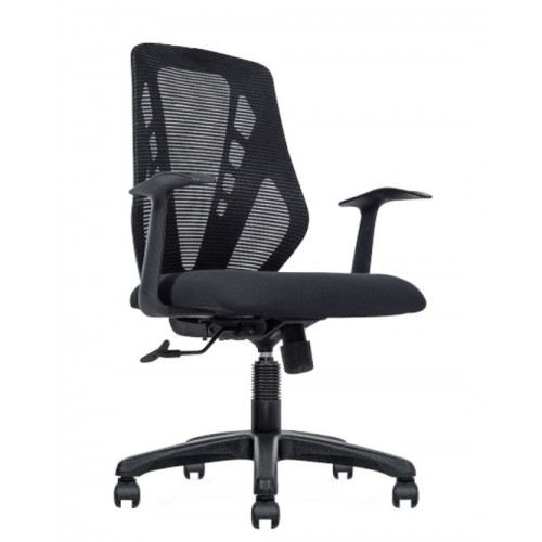 ASTERIA SERIES MESH LOW BACK CHAIR (NTT78-LB)