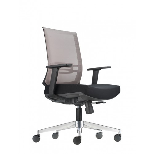 ISSO LOW BACK CHAIR (IT8312N-10D34)