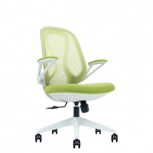 NTT-103-LB LOW BACK CHAIR