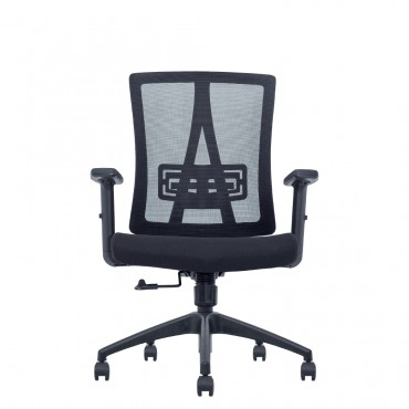 CRIUS SERIES LOW BACK CHAIR (NTT-100-LB)