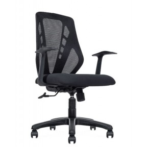 ASTERIA SERIES MESH LOW BACK CHAIR (NTT78-LB)