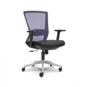 BRUGAL MESH SERIES LOW BACK CHAIR (OF-BRU-002-LB)
