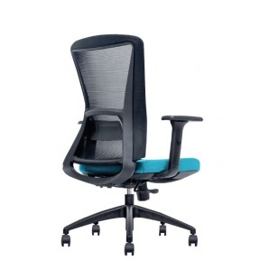COMPITO SERIES MESH LOW BACK CHAIR (NTT117-LB)