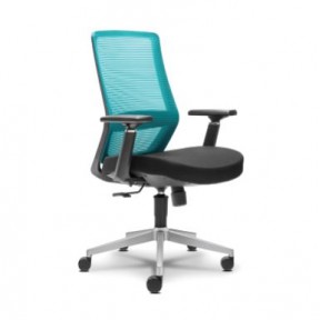 FERGO MESH SERIES LOW BACK CHAIR (OF-FER-002-LB)