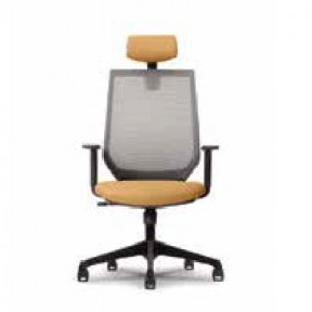 ZENITH MESH SERIES PRESIDENTIAL HIGHBACK ADJUSTABLE ARMREST CHAIR (ZNLS8210N-D36)