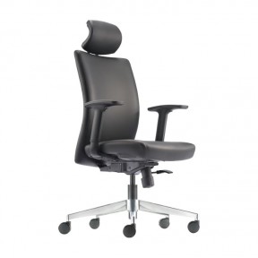 ELINI PU LEATHER SERIES HIGHBACK CHAIR (ER5510L-10D36)