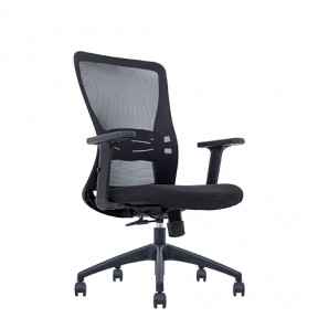 PHOEBE SERIES LOW BACK CHAIR (NTT-93-LB)