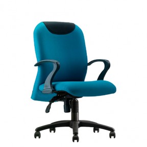 EXECUTIVE LOW BACK CHAIR (CH-167LB)