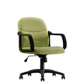 EXECUTIVE LOW BACK CHAIR (CH-252LB)