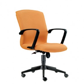 AXI LOW BACK CHAIR (E1023H)