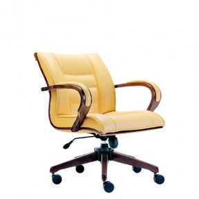 BASS LOW BACK CHAIR (E2153H)