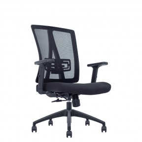 CRIUS SERIES LOW BACK CHAIR (NTT-100-LB)